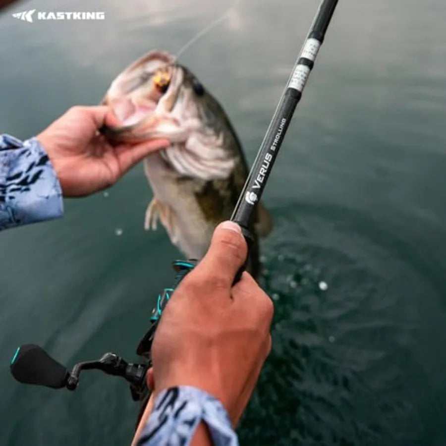 Twin-Tip Bass Fishing Rod IM7 Graphite Blanks with Nano Resin, Extra Tip, Titanium Guide Frames