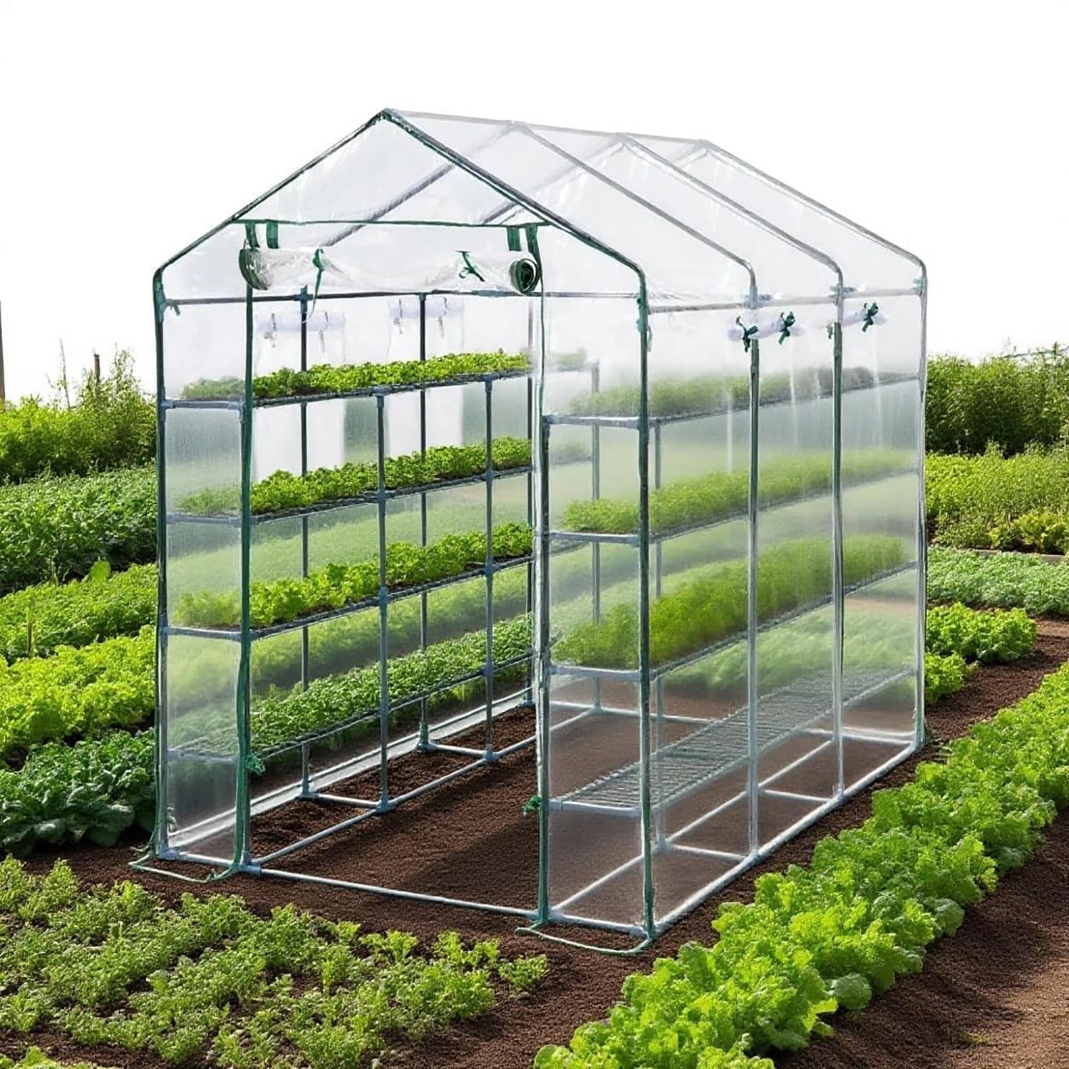 57x85x77in Walk-In Greenhouse With 8 Shelves, PE Cover, Mesh Windows & Zipper Door, Heavy Duty Plant House