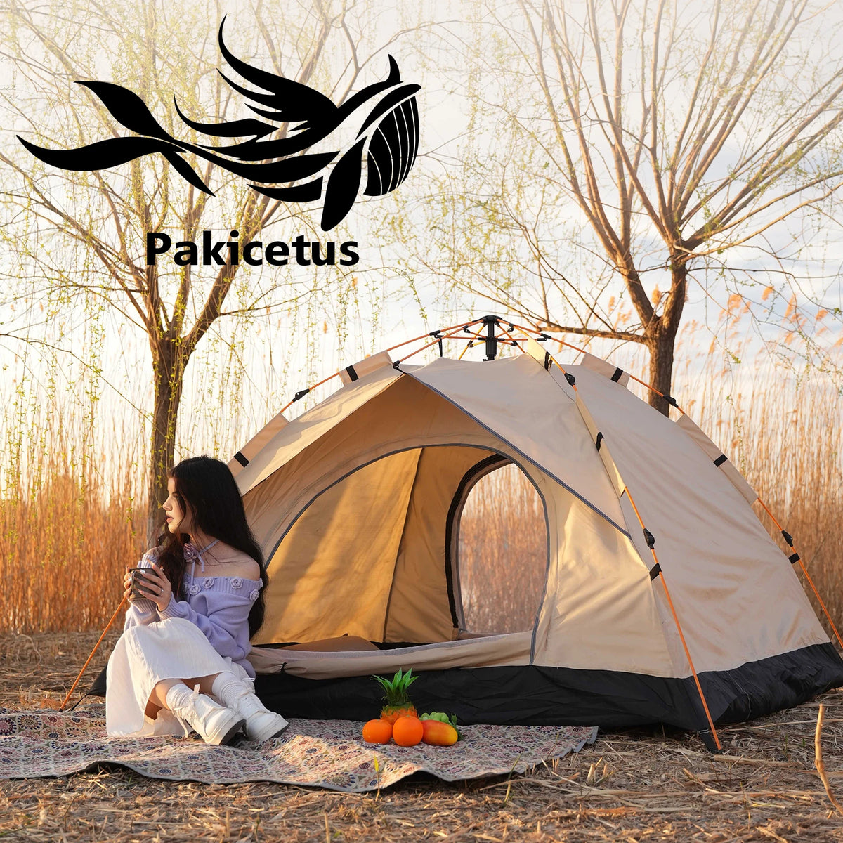 2-4 Person Automatic Pop Up Camping Tent, Quick Setup Portable Windproof Tent, Lightweight Backpacking Shelter for Outdoor