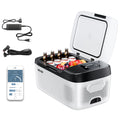20L 22L 35L 45L 55L Car Refrigerator Mini Portable Cooler DC 110- Ice Box for Camping